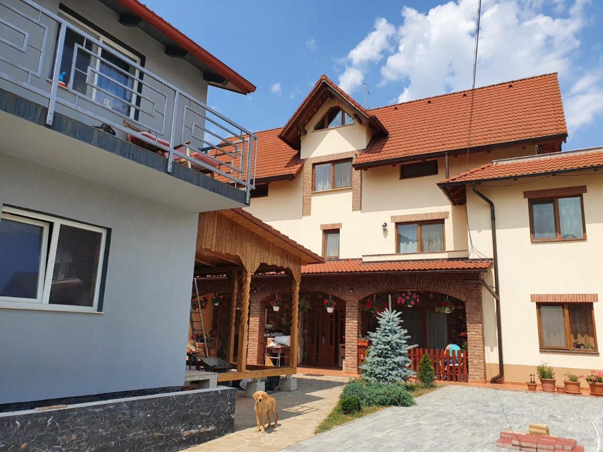 Апартаменты Apartament La Casa In Curte Comuna Кодля Экстерьер фото