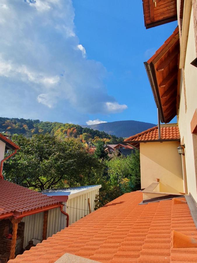 Апартаменты Apartament La Casa In Curte Comuna Кодля Экстерьер фото