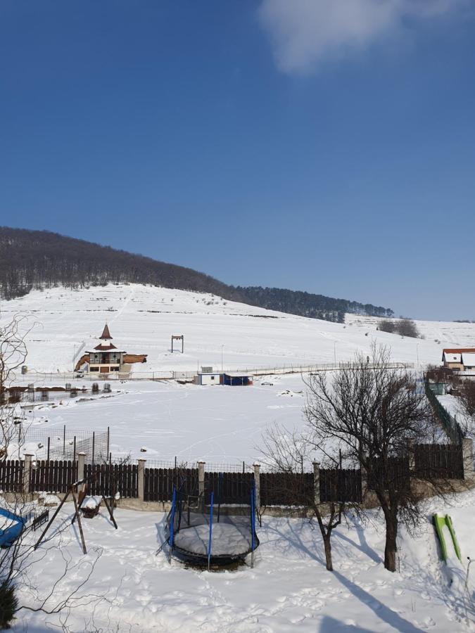 Апартаменты Apartament La Casa In Curte Comuna Кодля Экстерьер фото