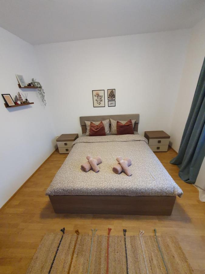 Апартаменты Apartament La Casa In Curte Comuna Кодля Экстерьер фото