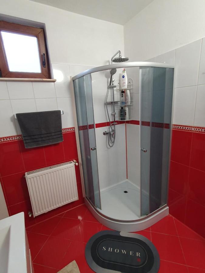 Апартаменты Apartament La Casa In Curte Comuna Кодля Экстерьер фото