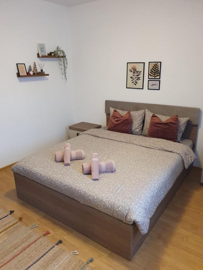 Апартаменты Apartament La Casa In Curte Comuna Кодля Экстерьер фото